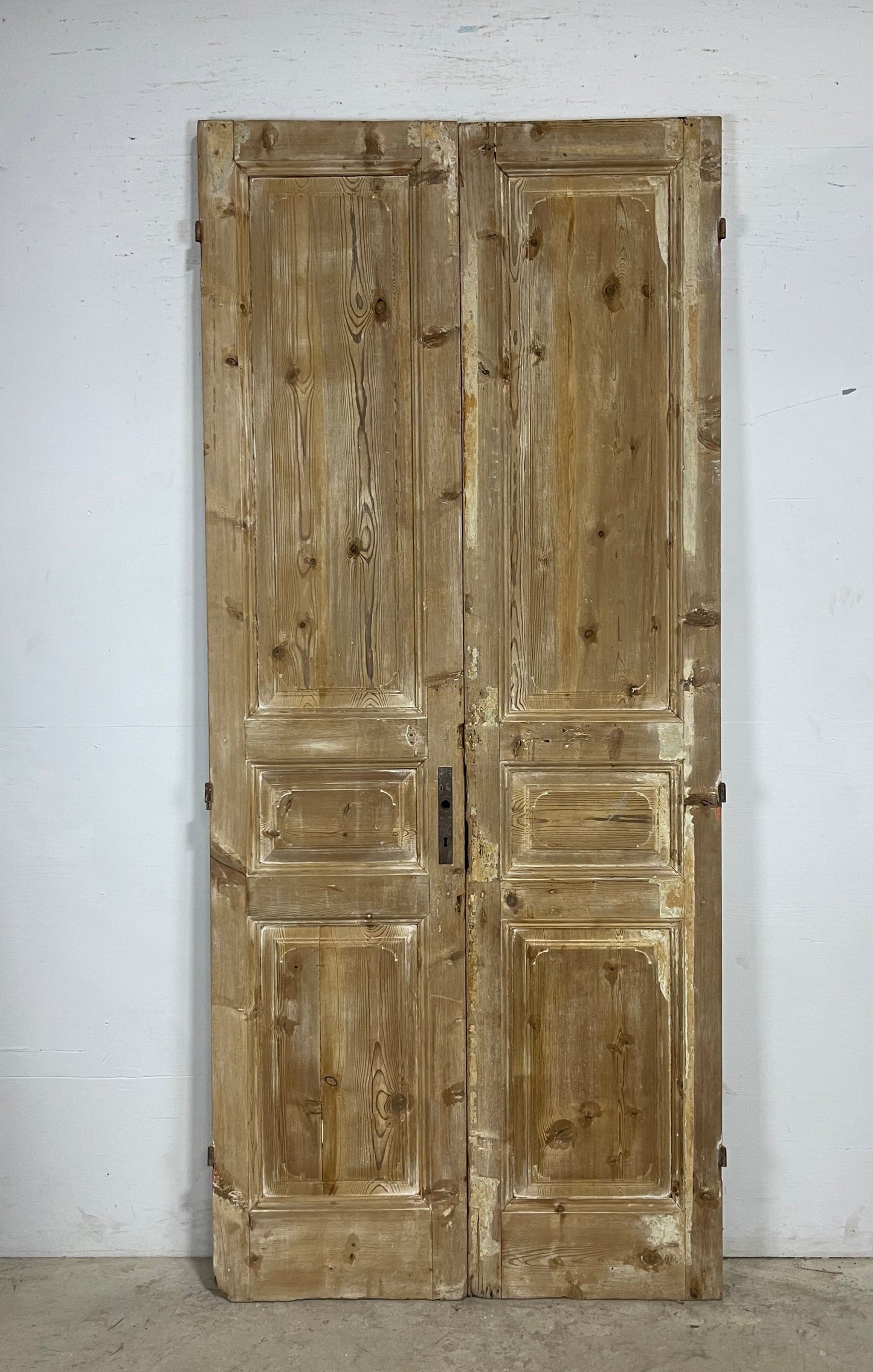 Antique French panel Doors (98x43) M145