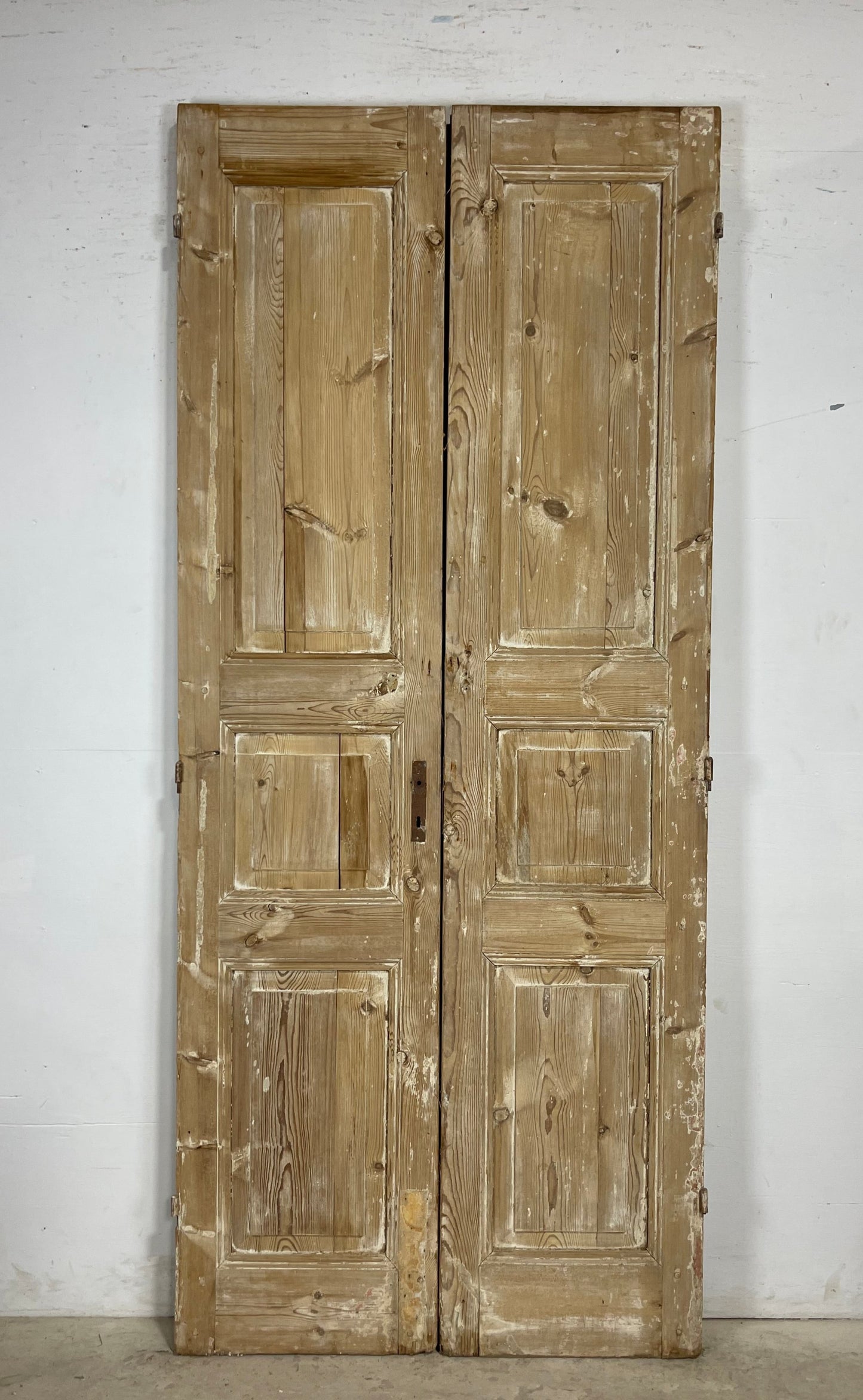 Antique French panel Doors (98.25x42) M152