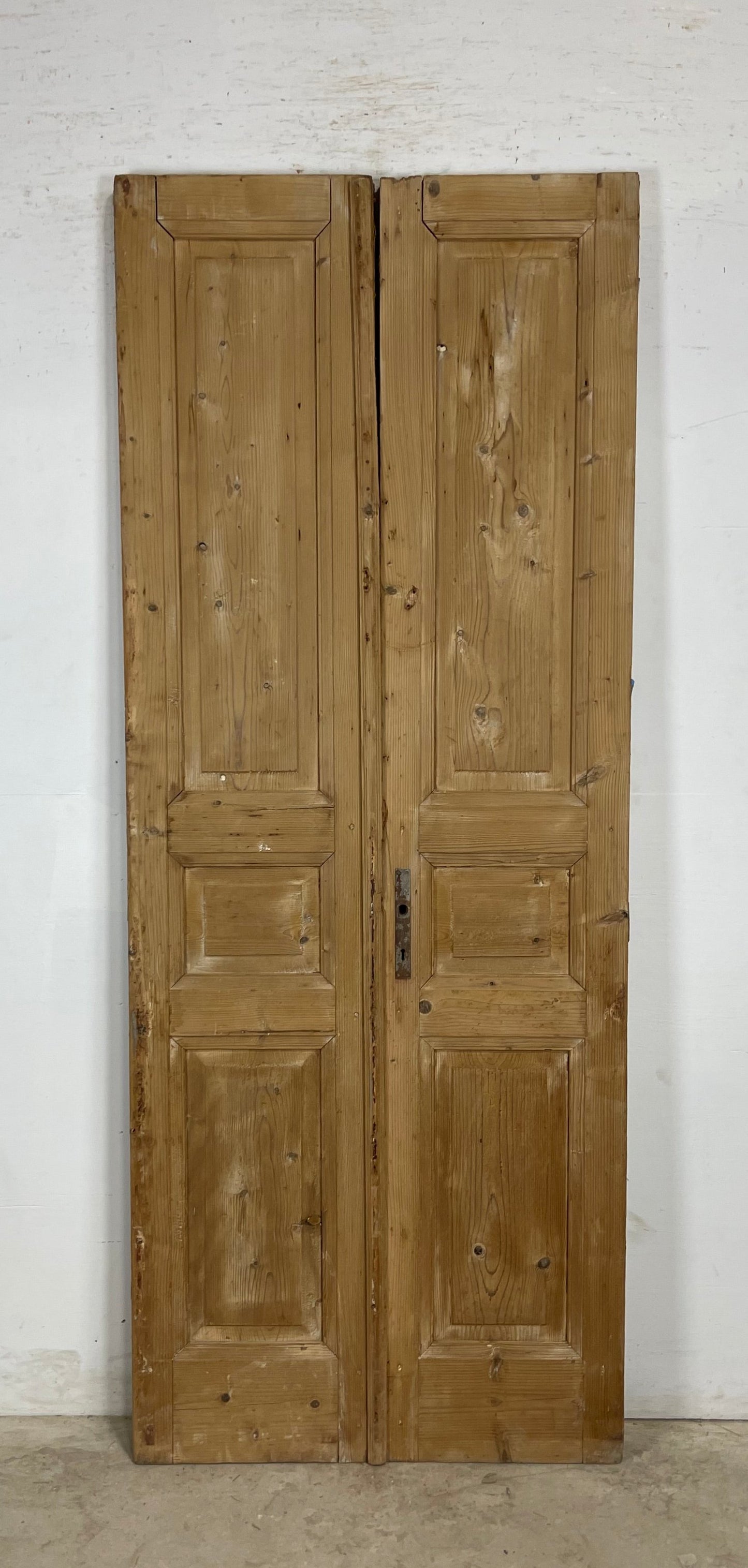 Antique French panel Doors (91 x 35.75) M174