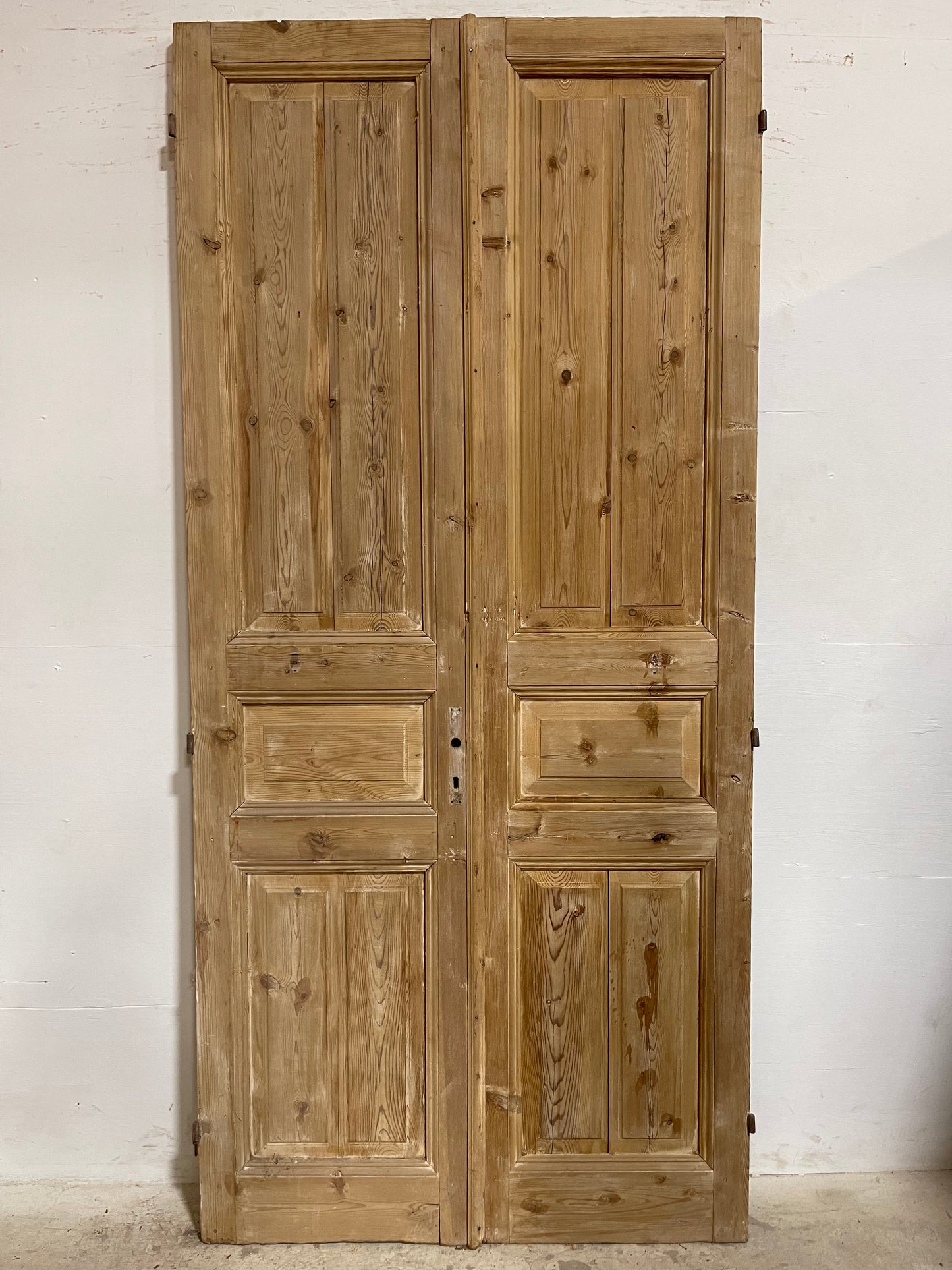 Antique French panel Doors (95.5x44.25) J651