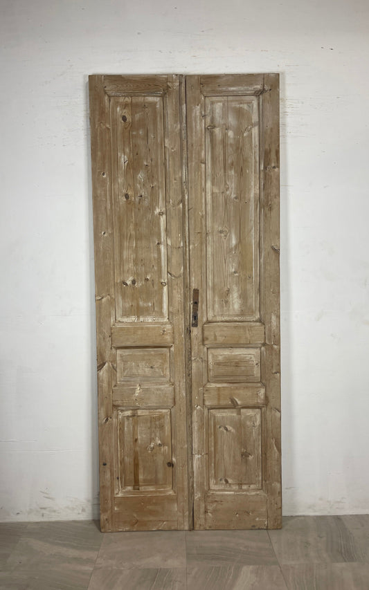 Antique French panel Doors (100.25 x 40.75) N121