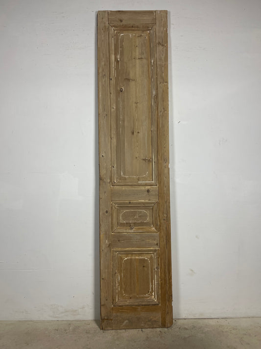 Antique French panel door (99.5x22.5) L378