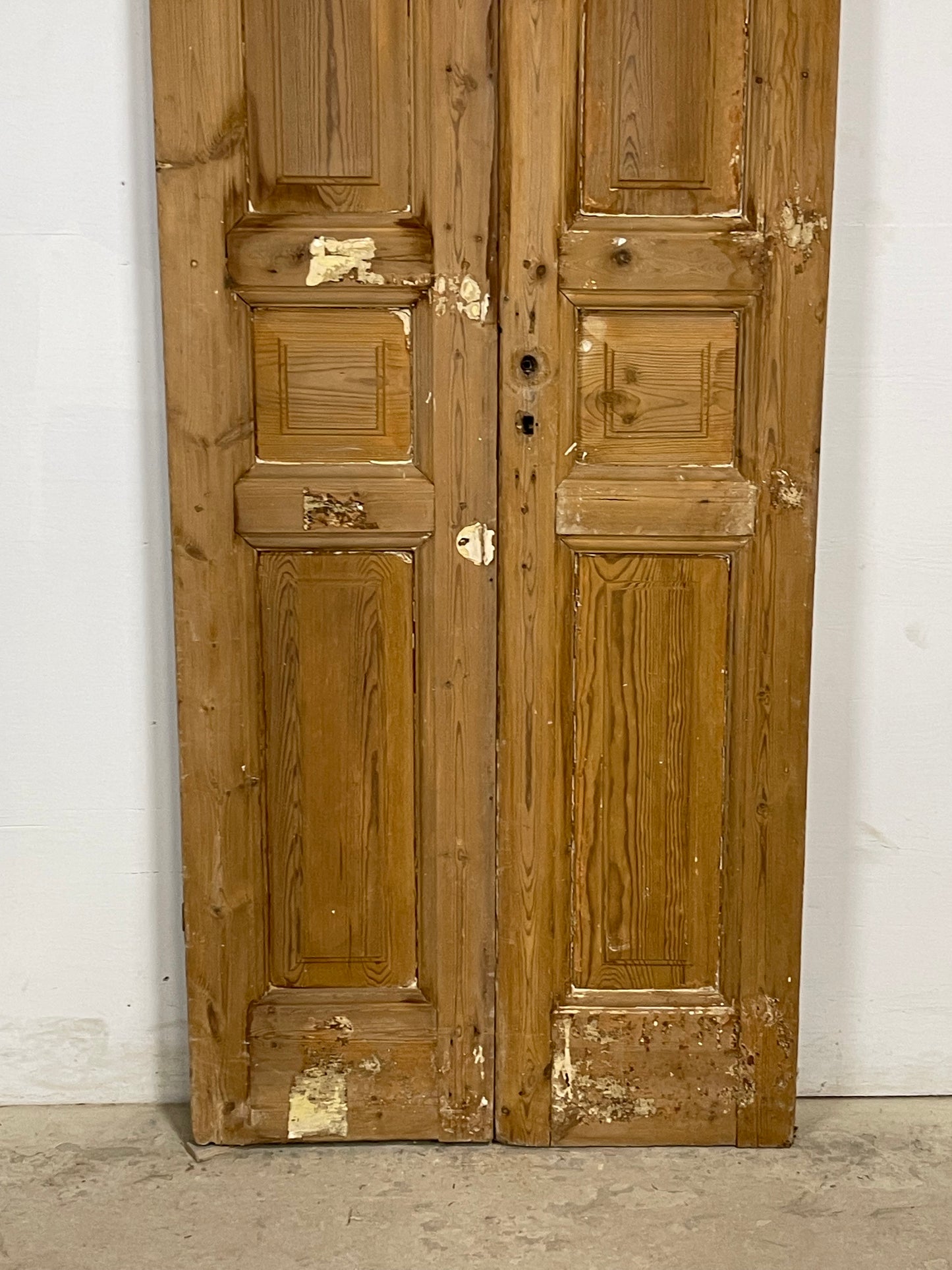 Antique French panel Doors (91 x 32) M181