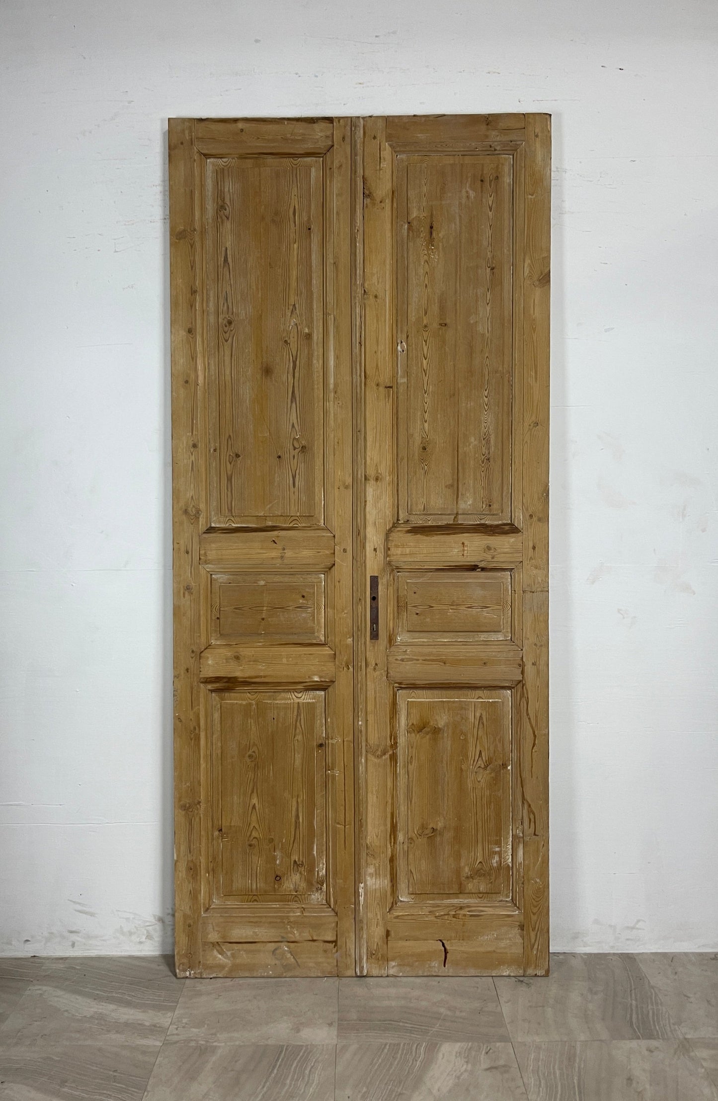 Antique French panel Doors (100.5 x 44.25) N059