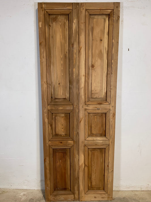 Copy of French Panel doors (80x30) K600D