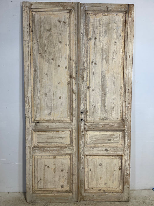 Antique French panel Doors (94.5x51) L276