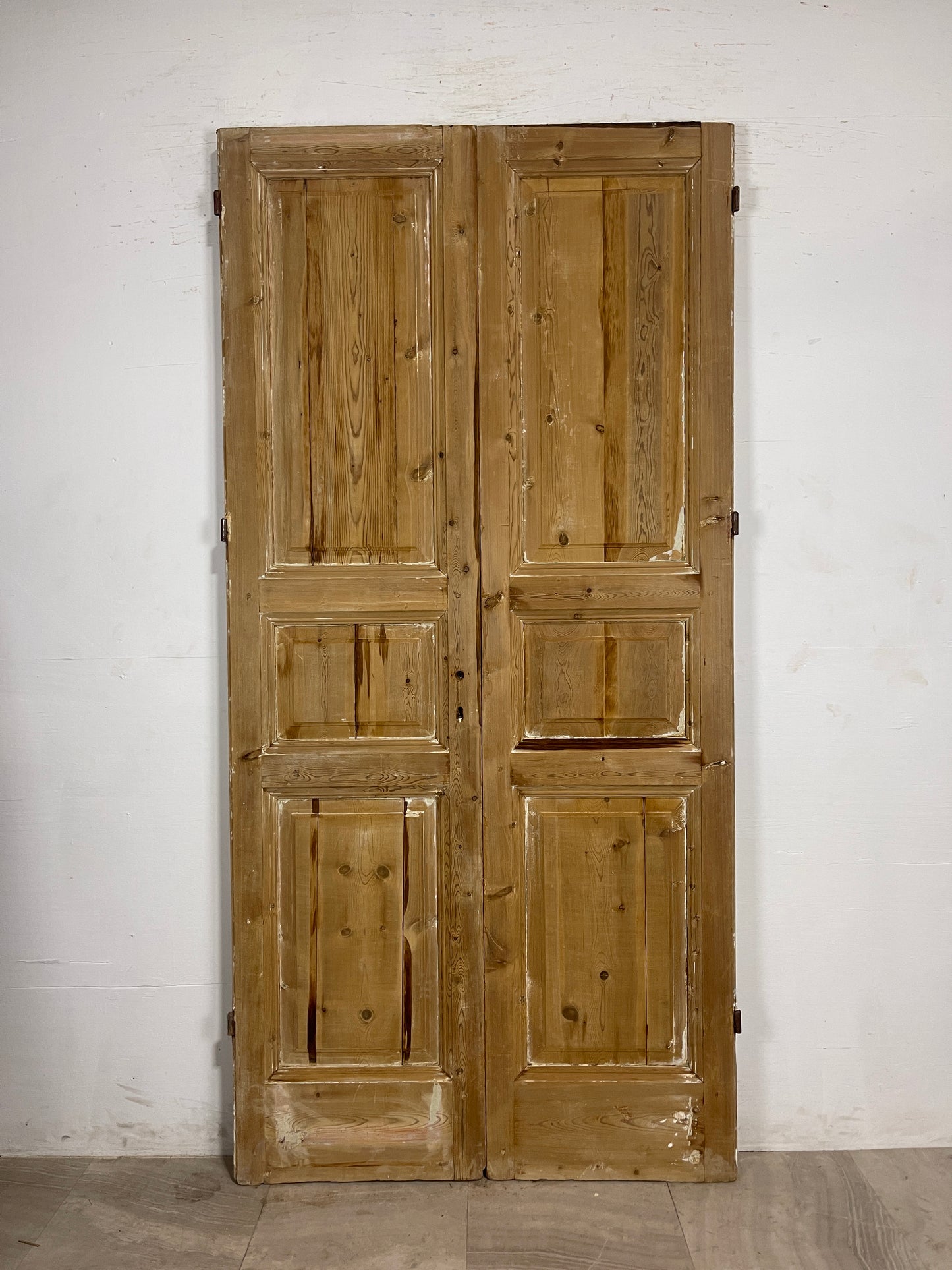 Antique French panel Doors (95 x 46.5)   N137