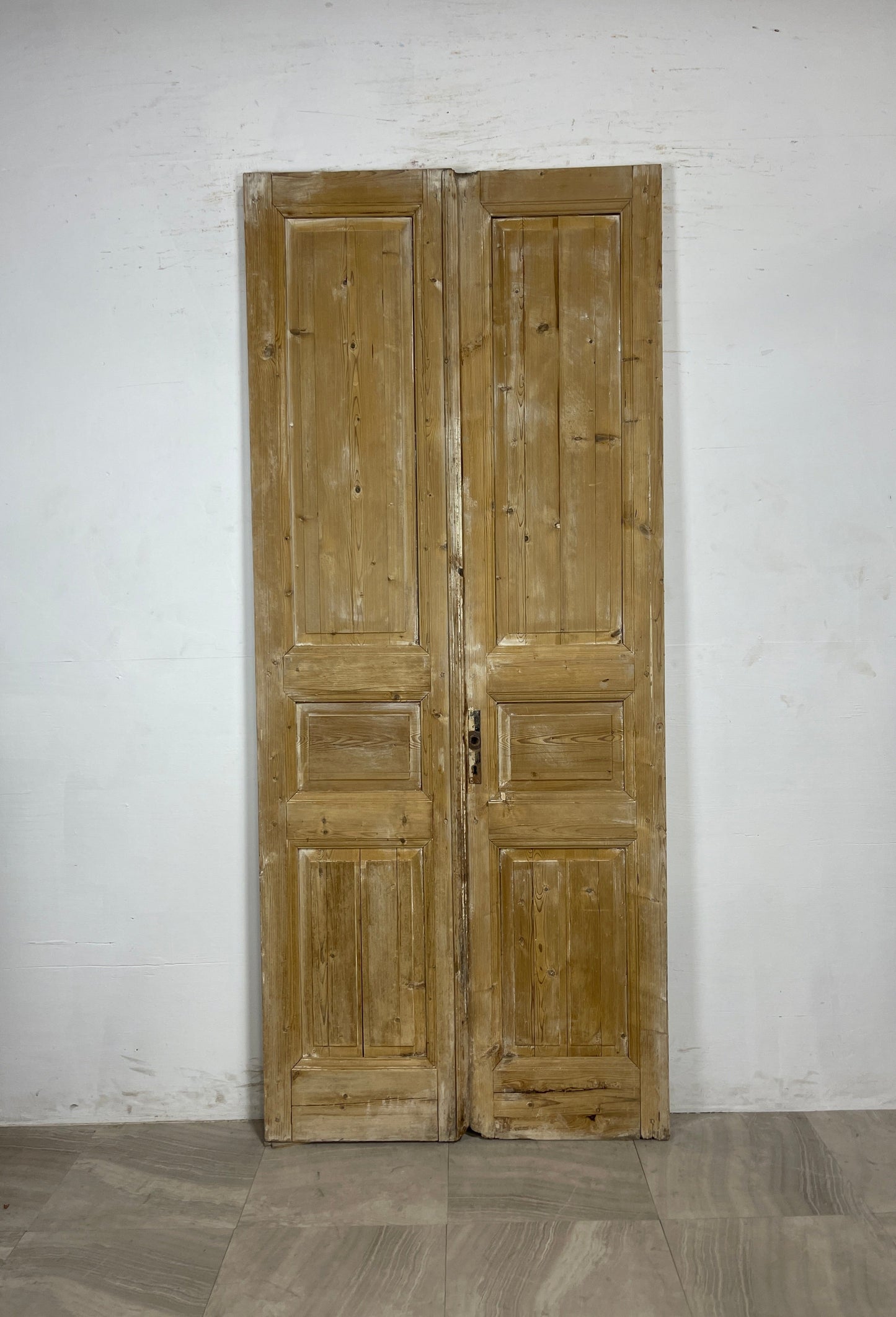 Antique French panel Doors (93.25 x 39.75)   N094