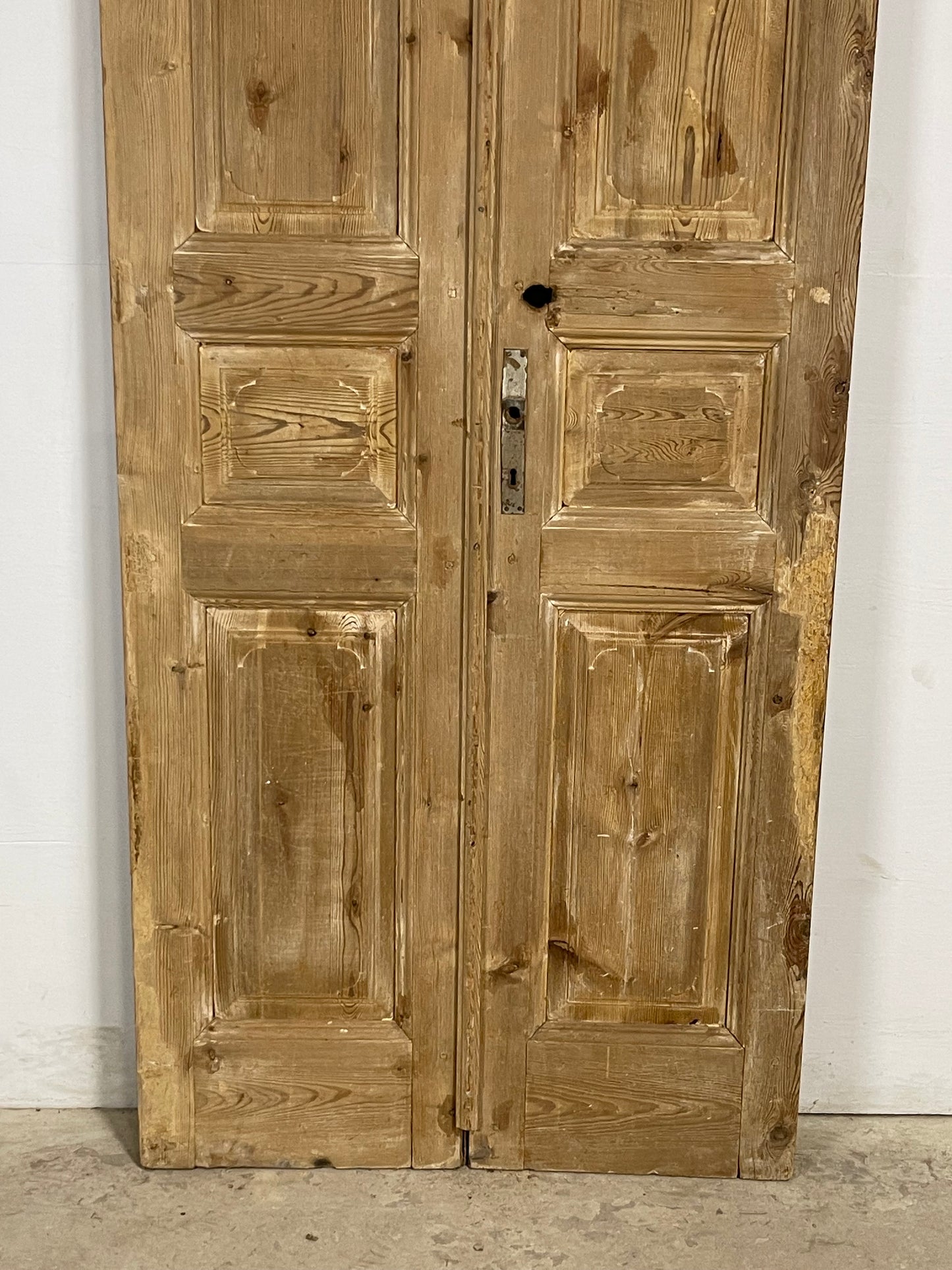 Antique French panel Doors (98.25 x 36) M188