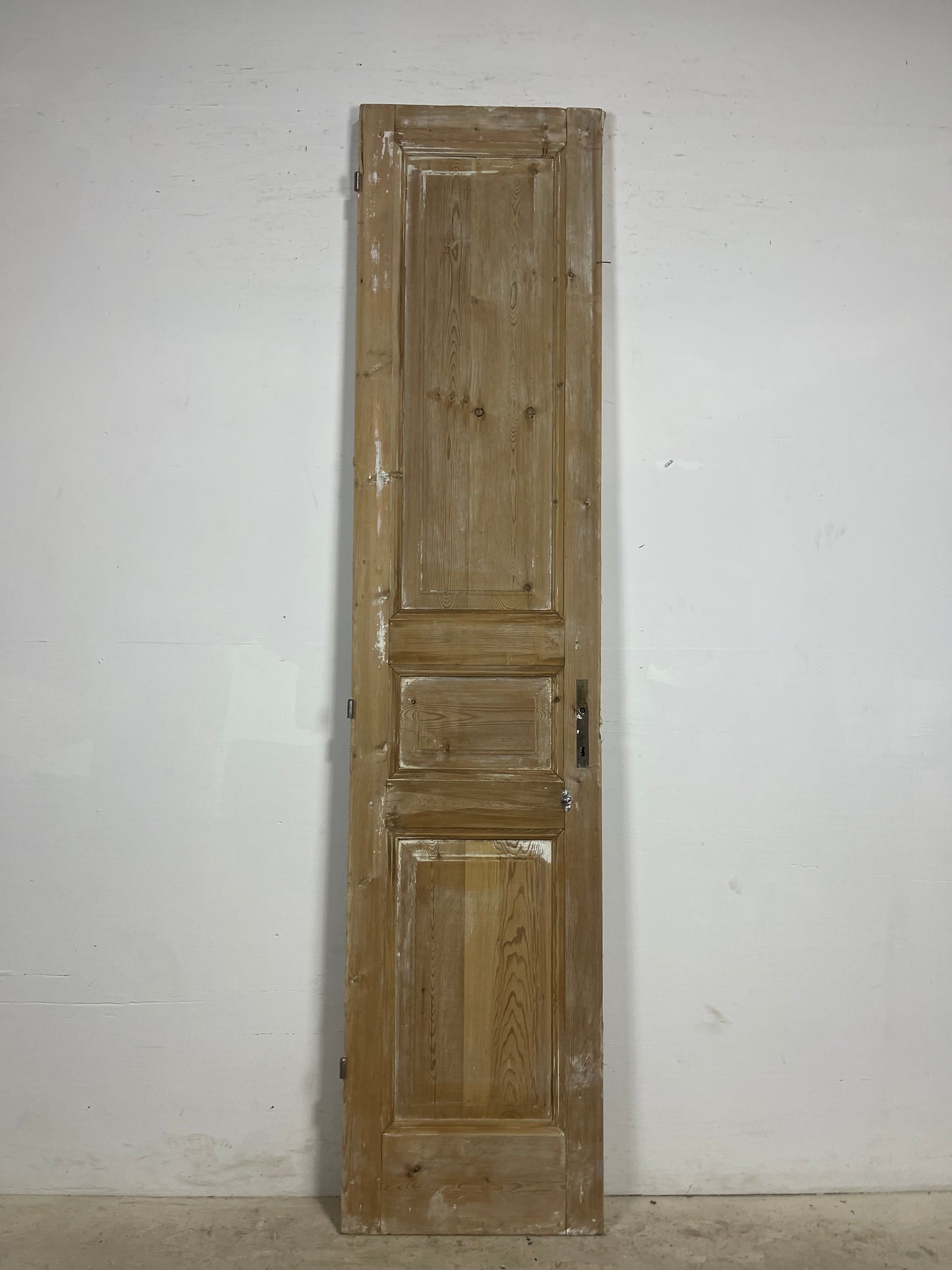 Antique French panel door (95.75x21.5) L372