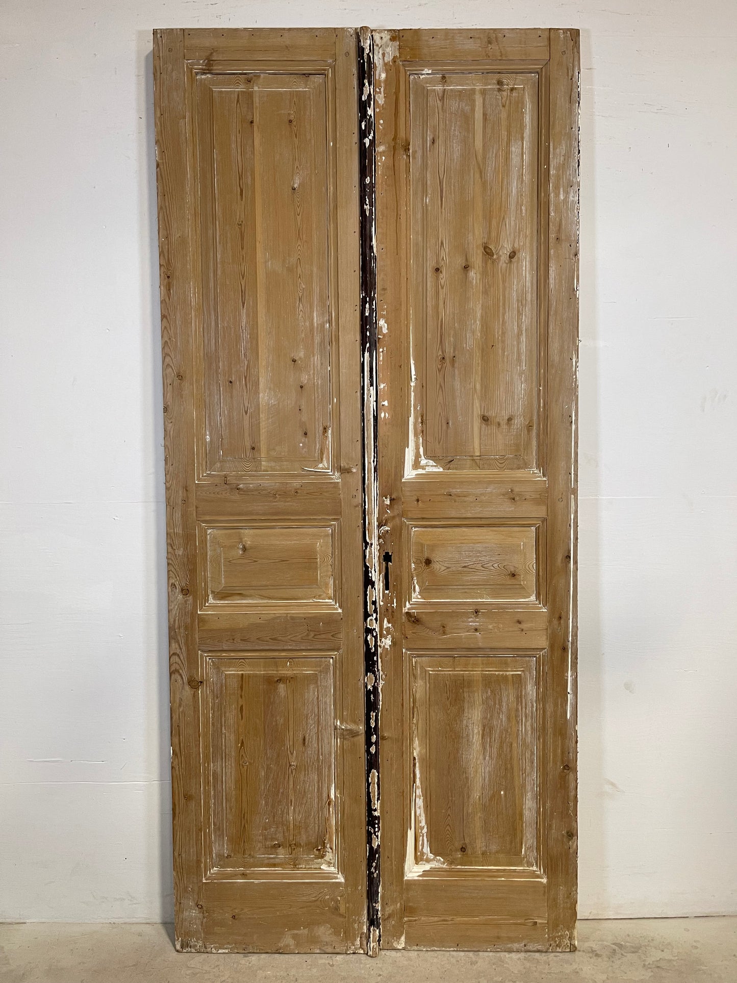 Antique French panel Doors (95.75x43) L360