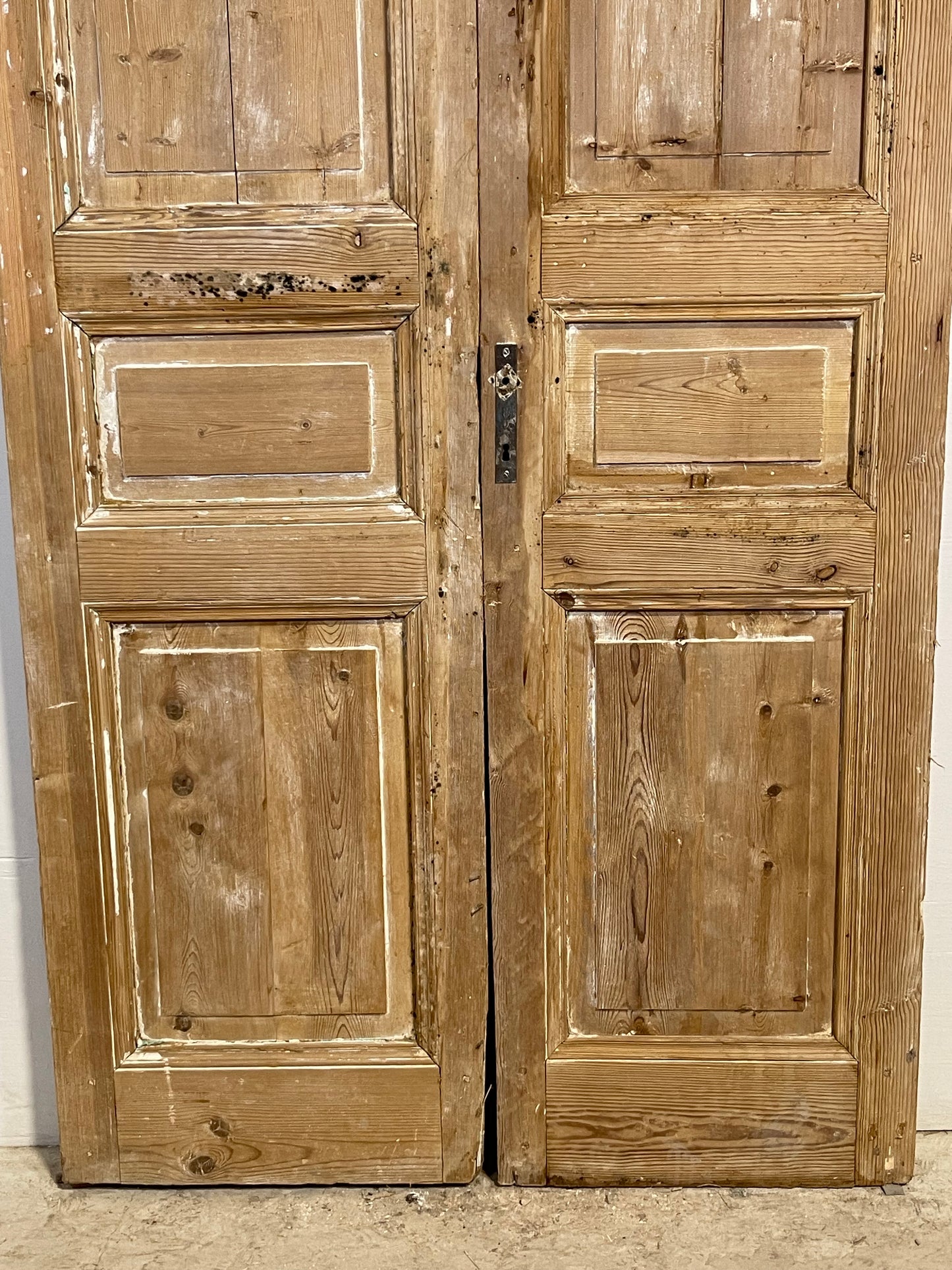 Antique French panel Doors (96.5x43.75) L351