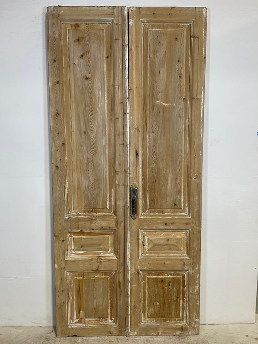 Antique French panel Doors (95.5x44) L285