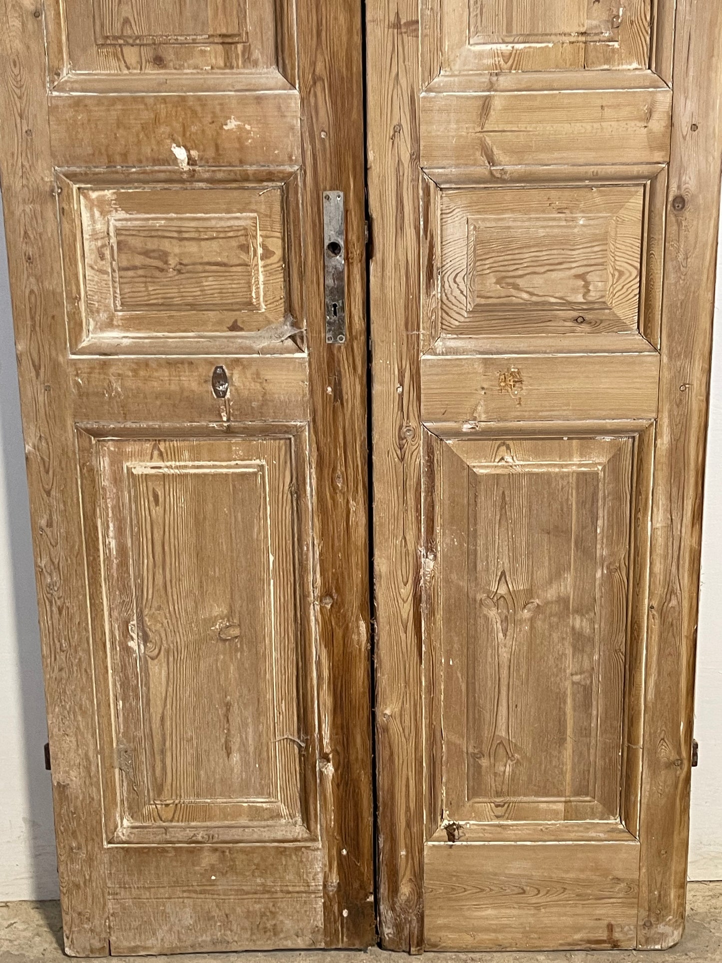 Antique French panel Doors (98.25x37.5) K376