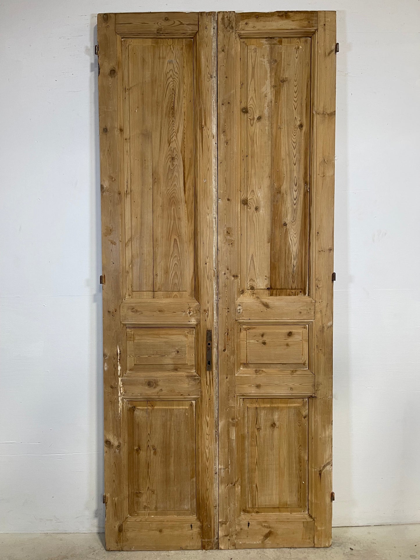 Antique French panel Doors (98.5x42.5) L361