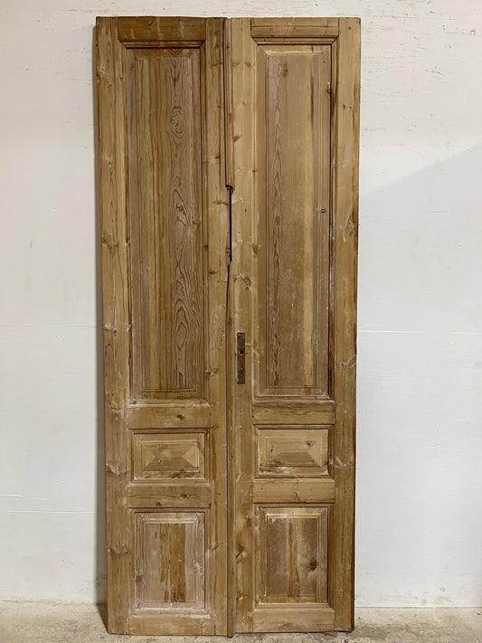 Antique French panel Doors (94.25x39.25) J614