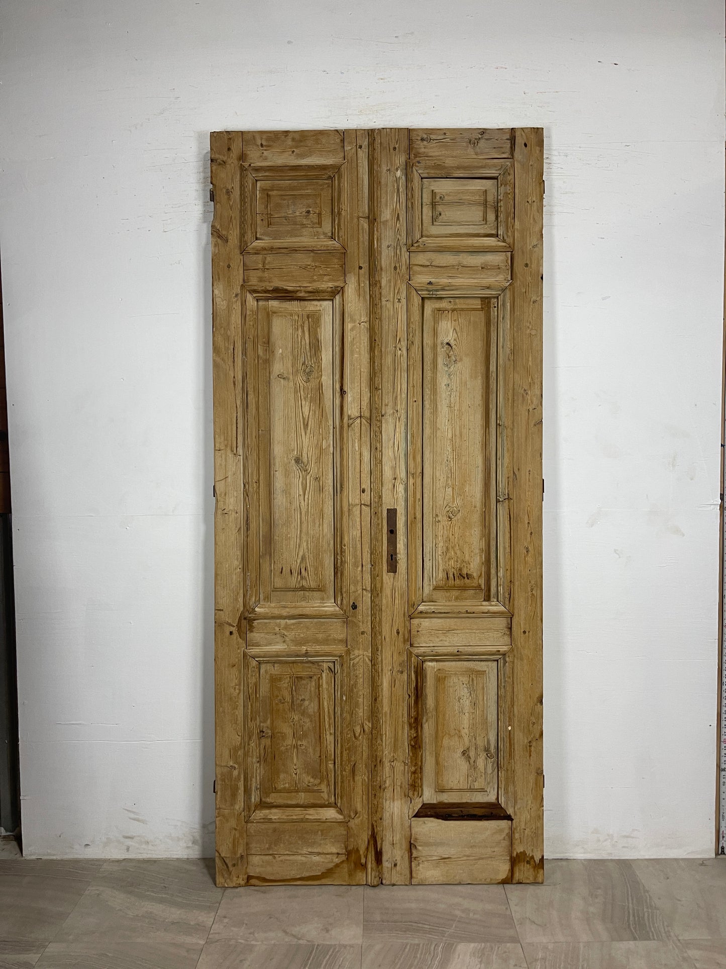 Antique French panel Doors (97.5 x 42.5) N144