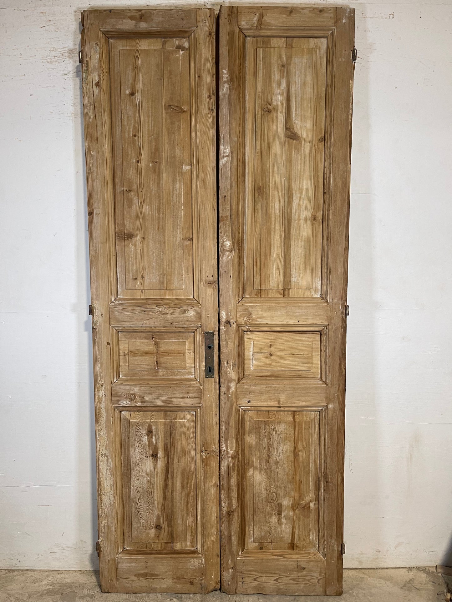 Antique French panel Doors (94.75x41.5) K724