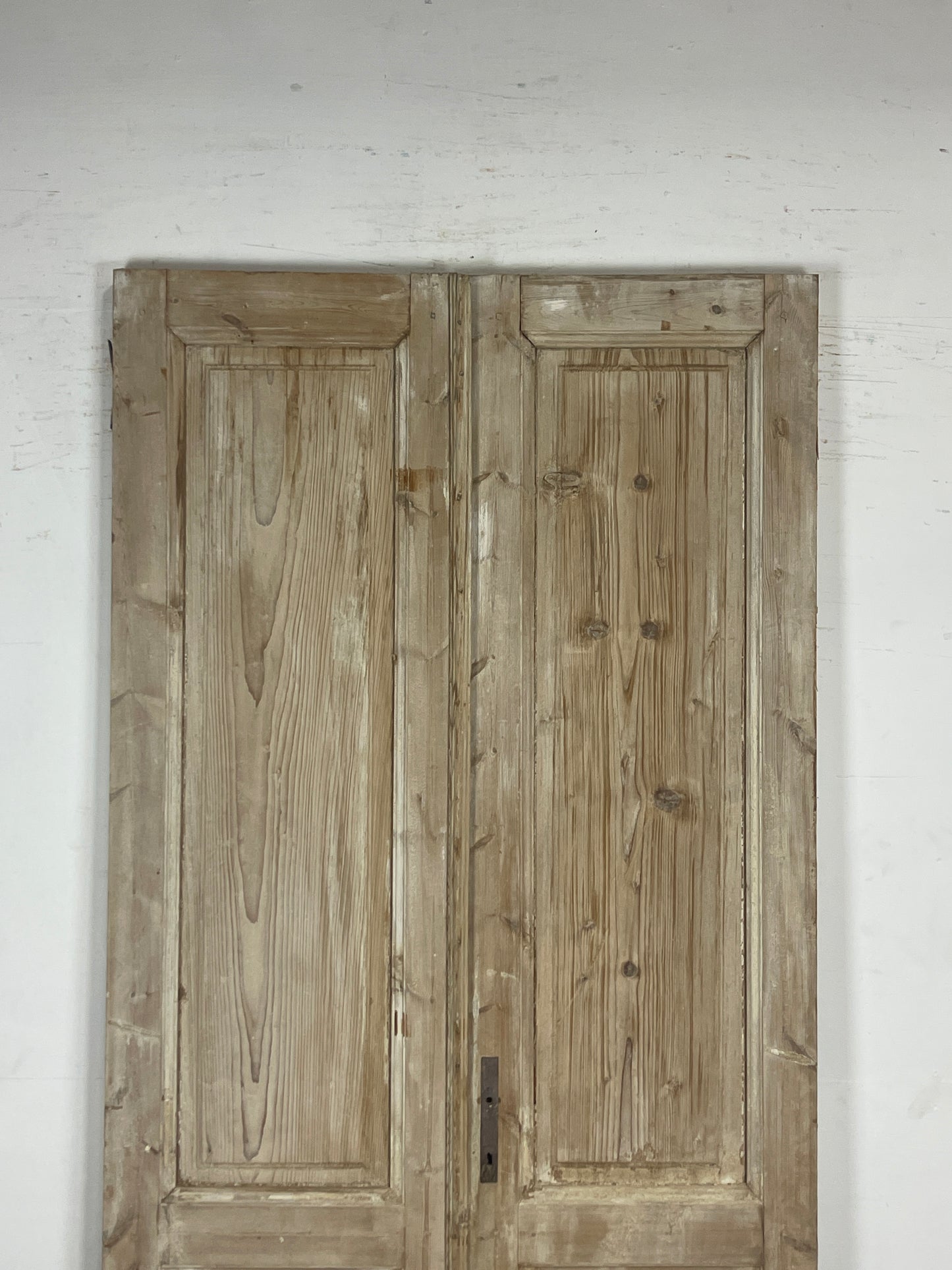 Antique French panel Doors (98 x 43.25) N119