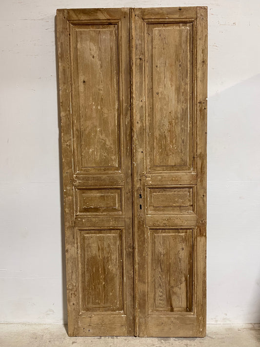 Antique French panel Doors (97.75x43) J625