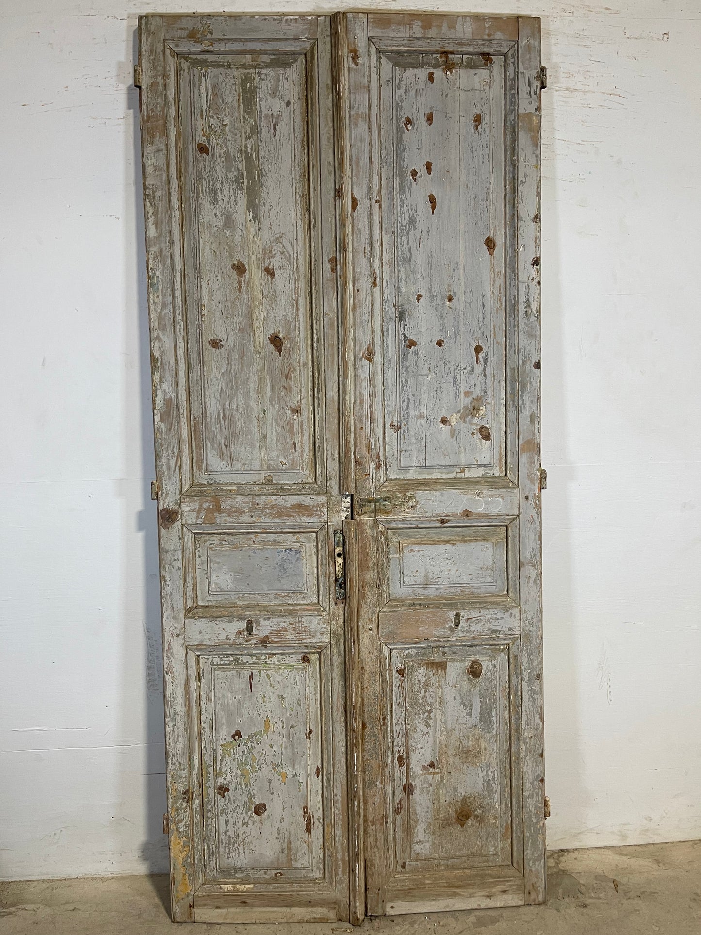Antique French panel Doors (95.5x41.5) K610