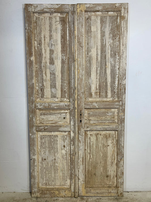 Antique French panel Doors (88x44.5) L275