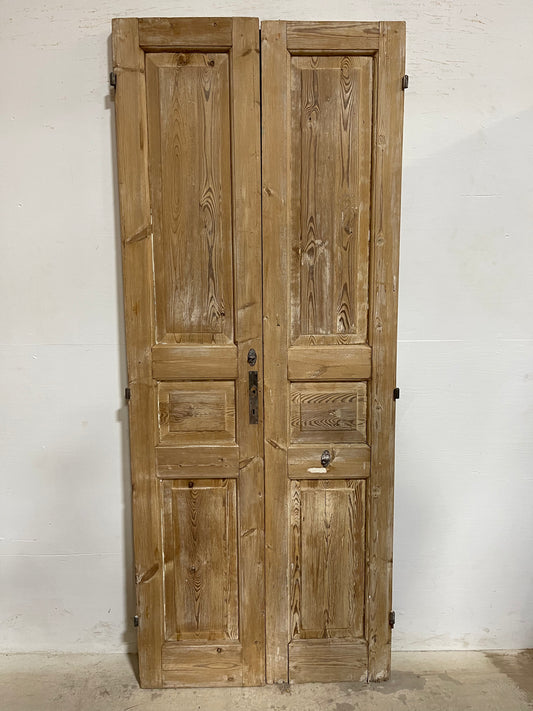 Antique French Panel Doors (87.5x35.5) J665