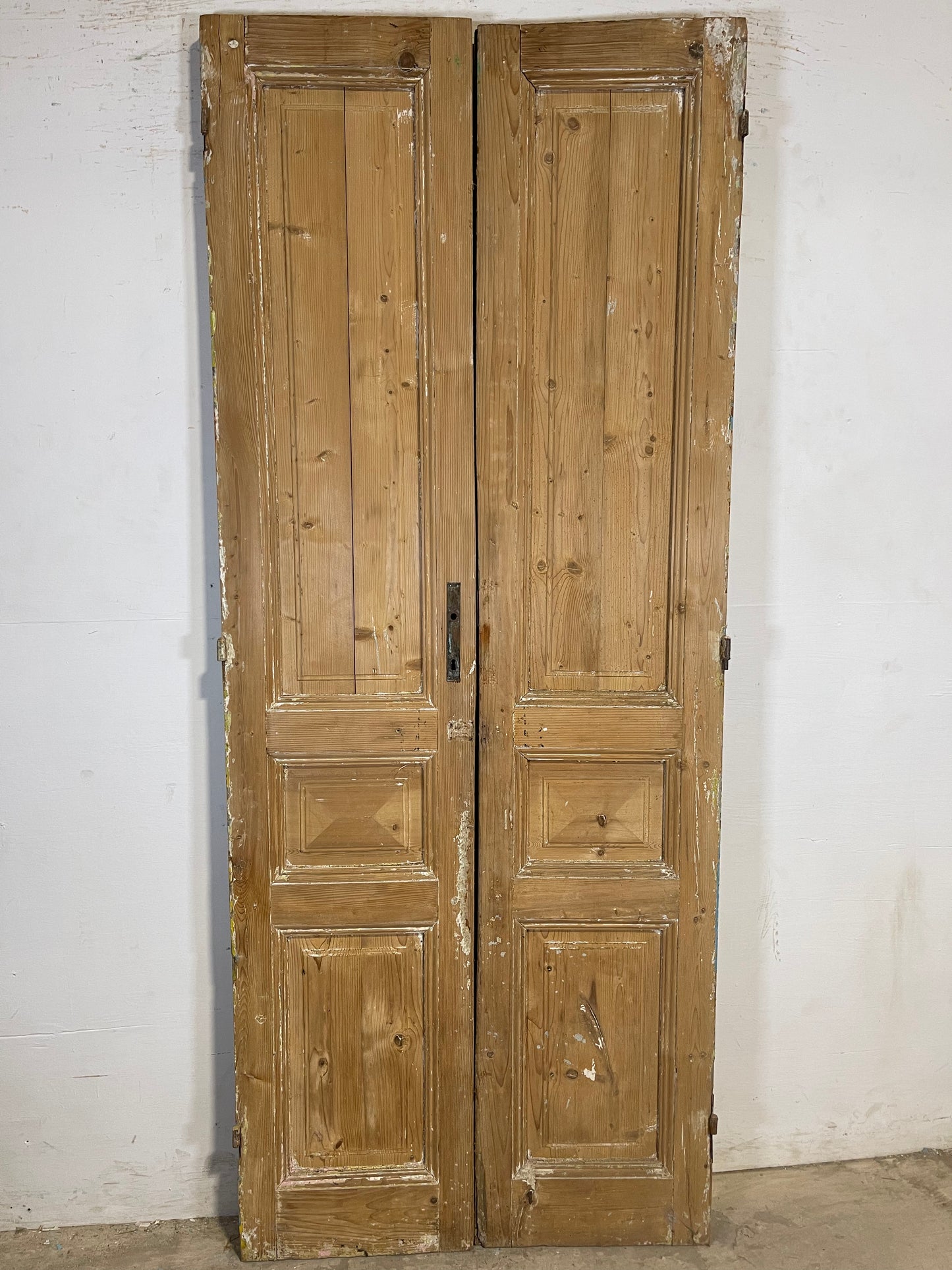 Antique French panel Doors (88x36) K651