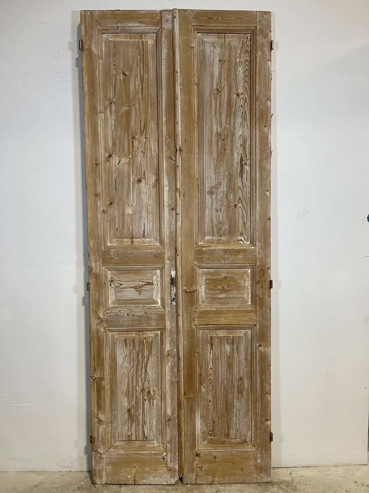 Antique French panel Doors (100x39) L293