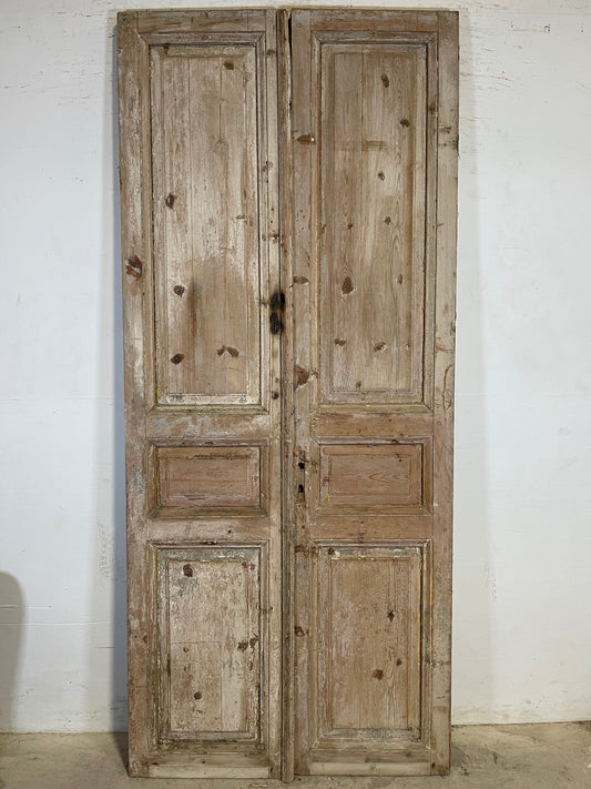 Antique French panel Doors (95.5x41.5) K610