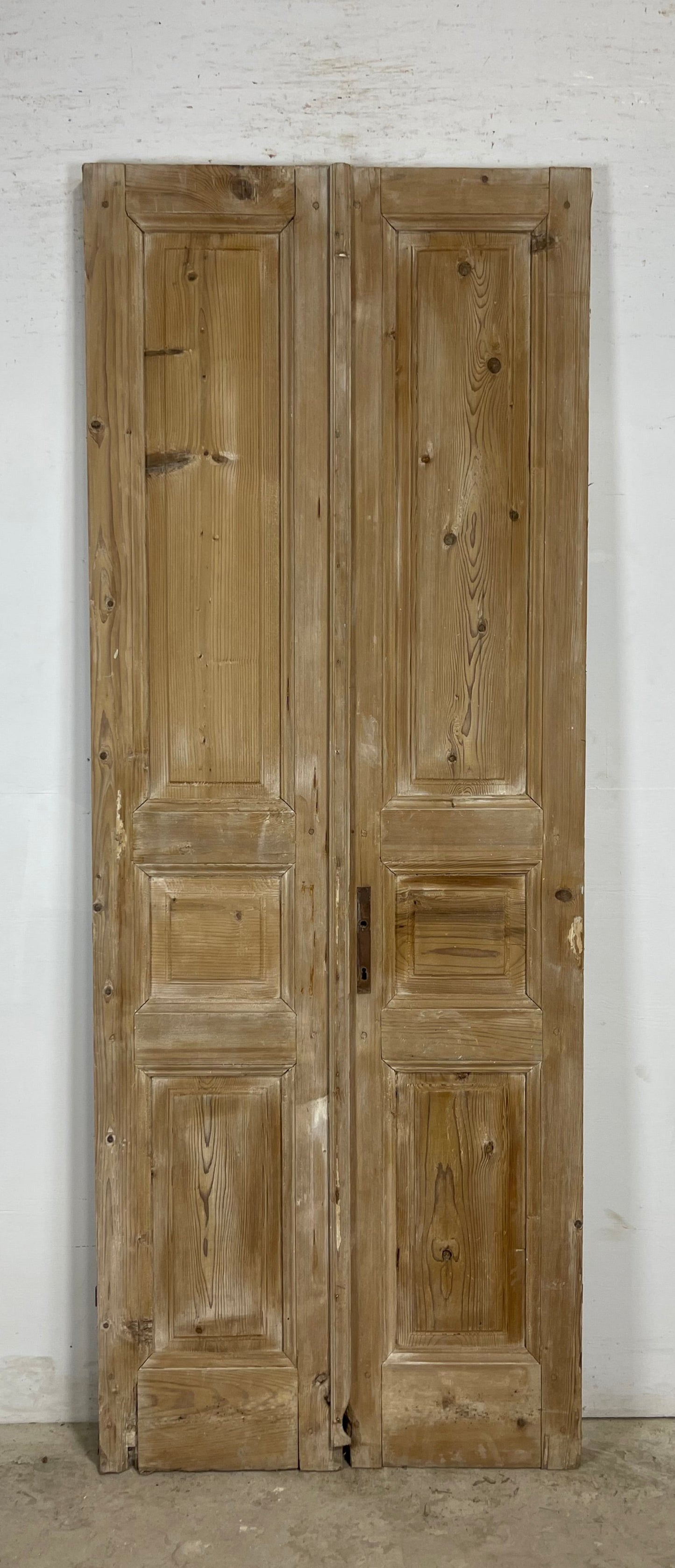 Antique French panel Doors (90.25 x 34.5) M169