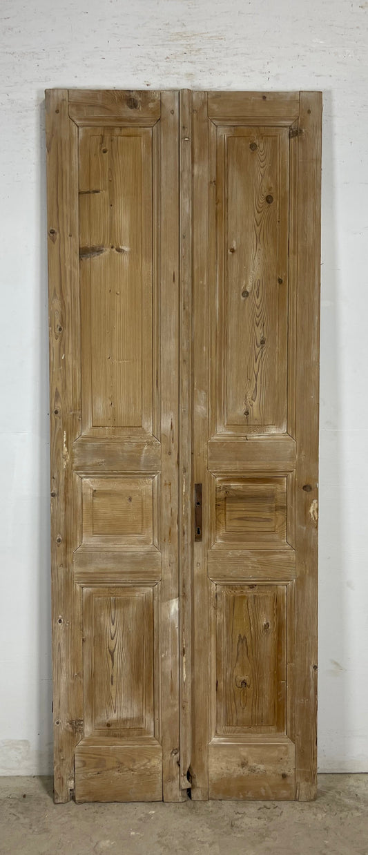 Antique French panel Doors (90.25 x 34.5) M169