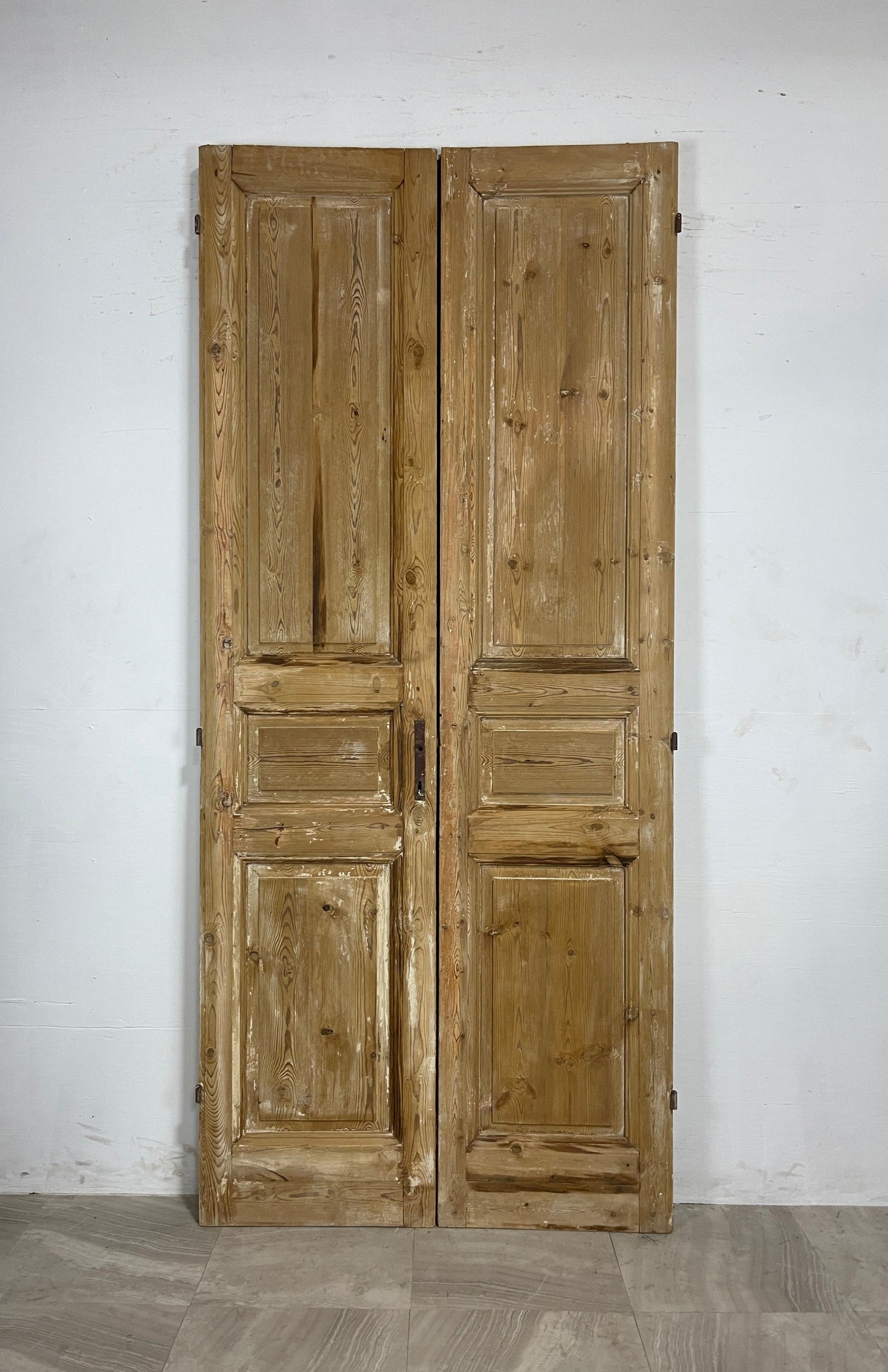 Antique French panel Doors (100.5 x 44.25) N059