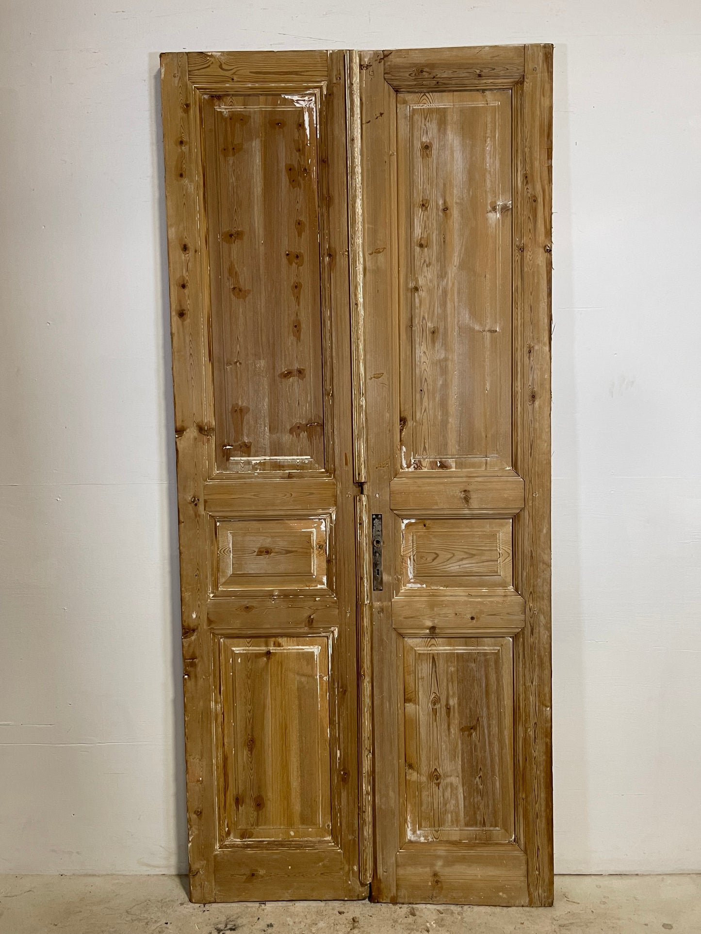 Antique French panel Doors (94.5x41.5) L265