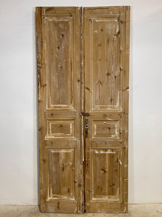 Antique French panel Doors (94x41.5) L291