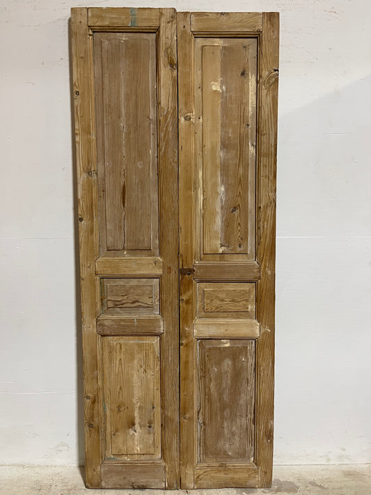 Antique French panel Doors (87.25x36) J626