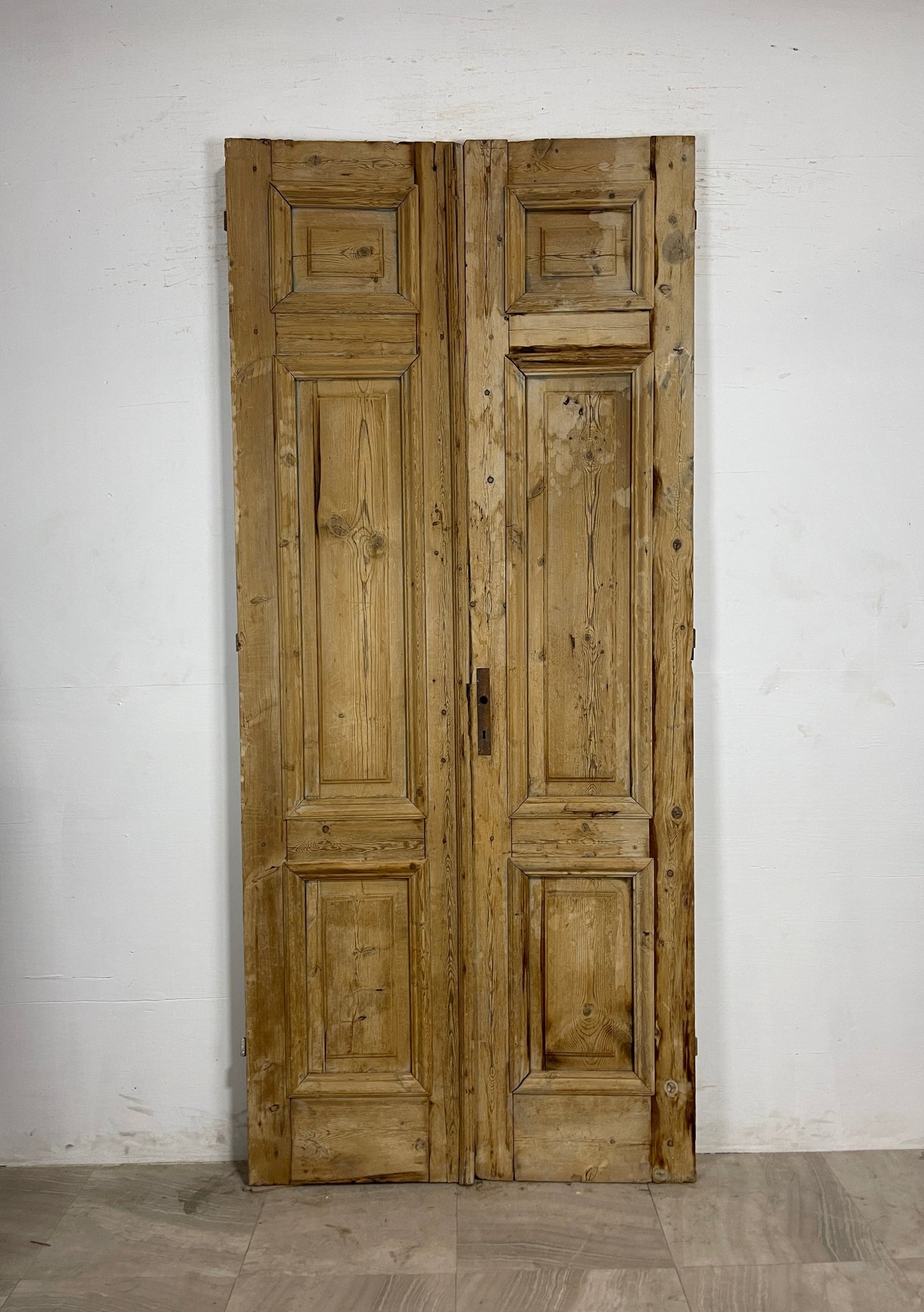 Antique French panel Doors  (97.25 x 42.25)   N142