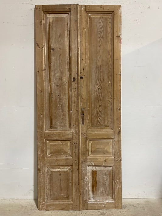 Antique French panel Doors (94.25x39) J607