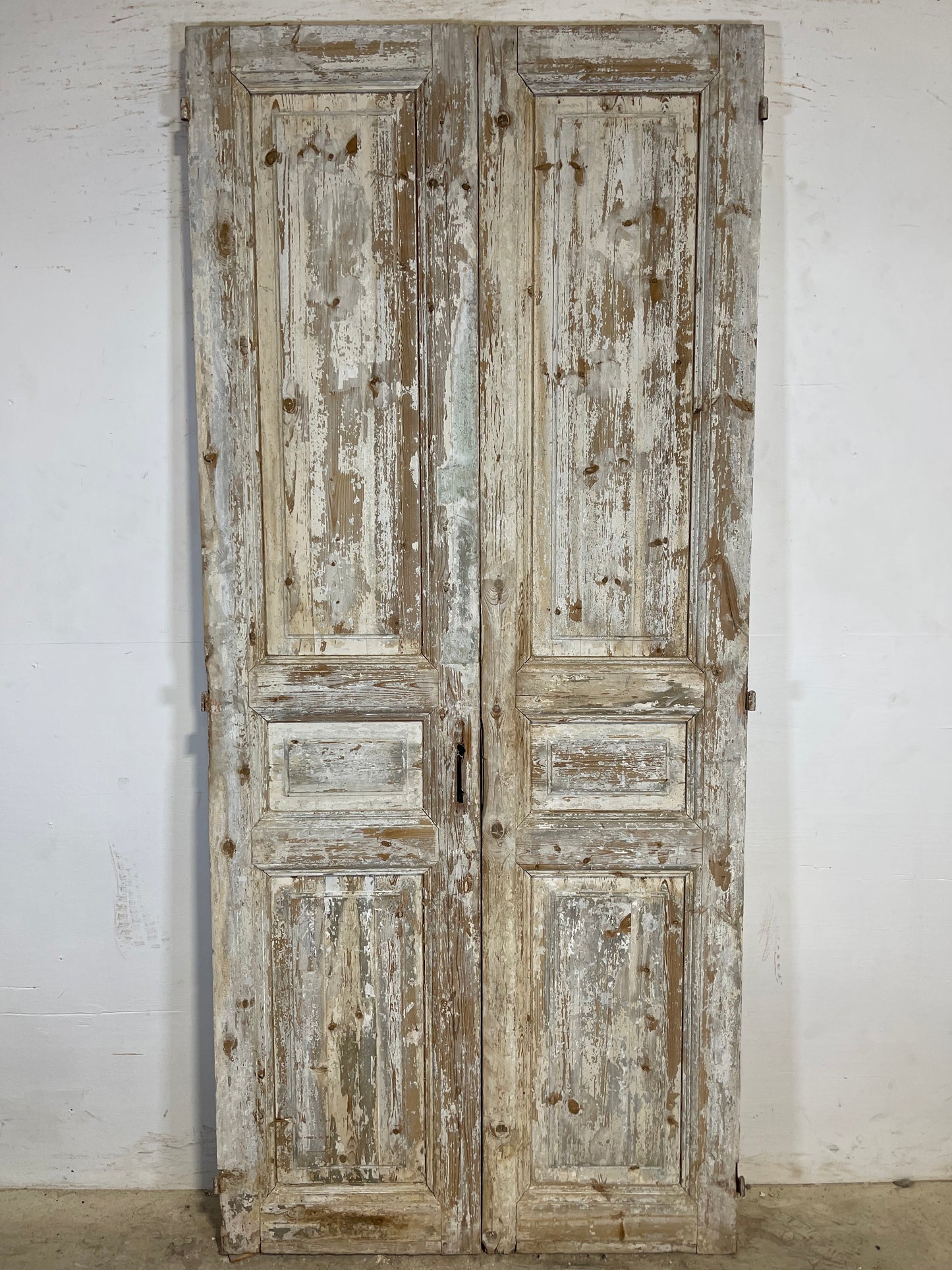 Antique French panel Doors (91.5x40.5) K605