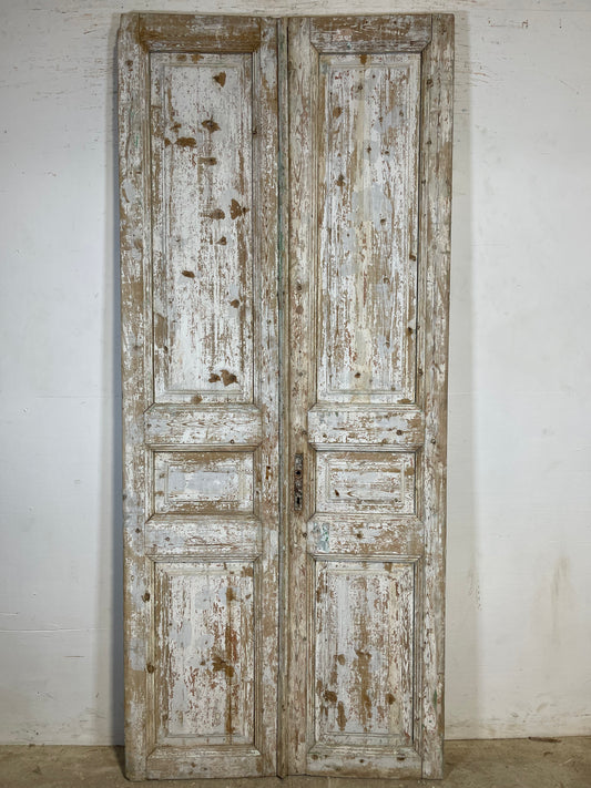 Antique French panel Doors (94.25 x 40.5) K645