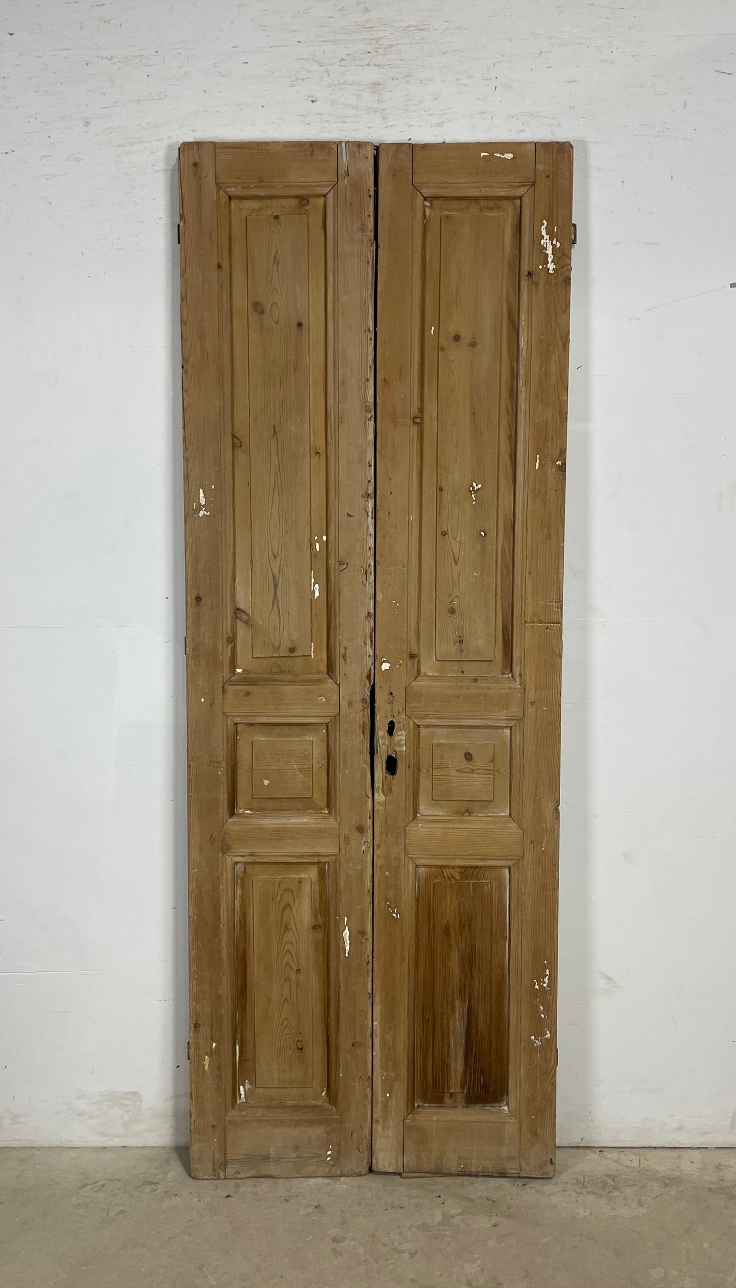 Antique French panel Doors (88x32) M136