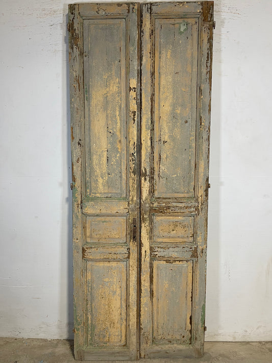 Antique French panel Doors (89.25x34.75) K652