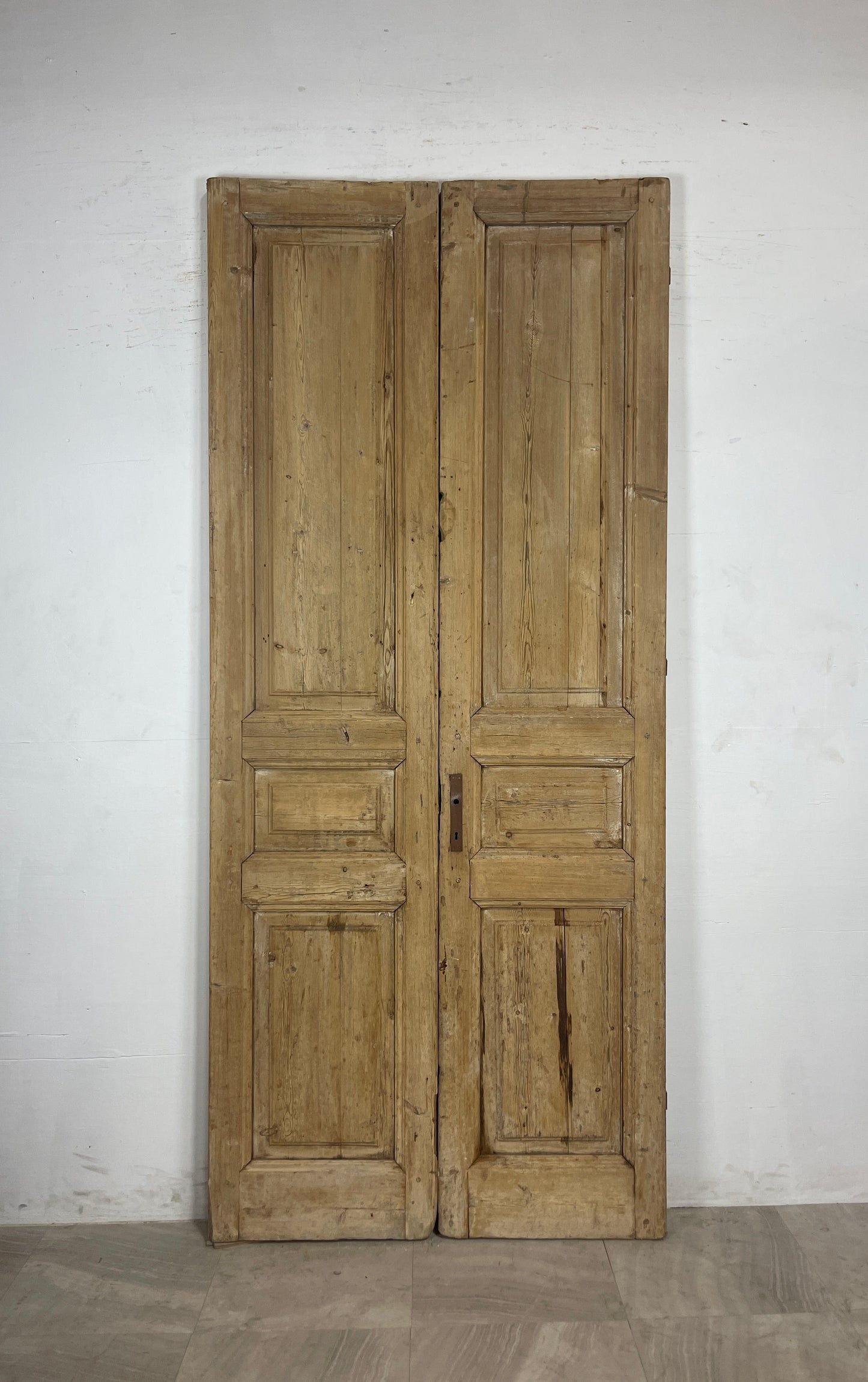 Antique French panel Doors (100.25 x 43.5) N118