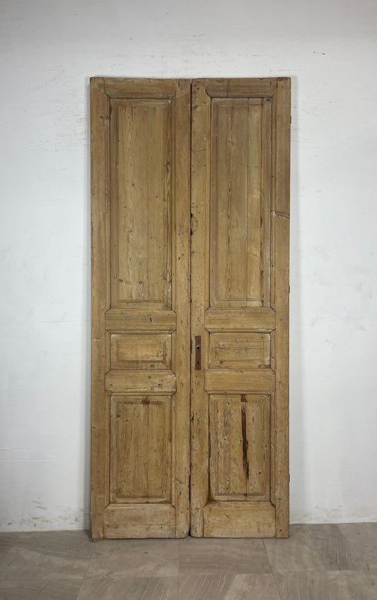 Antique French panel Doors (100.25 x 43.5) N118