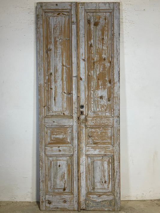 Antique French panel Doors (97x38.25) K658