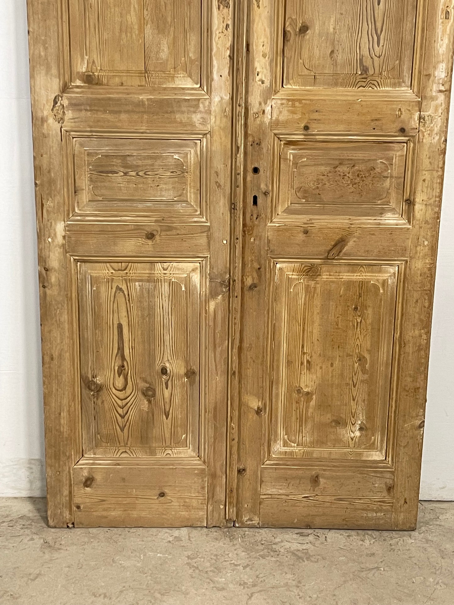 Antique French panel Doors (98 x 43) M171