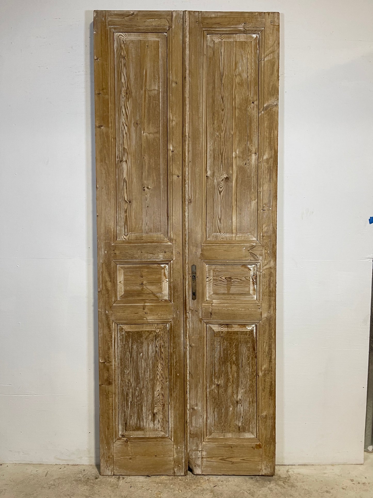 Antique French panel Doors (100x39) L293