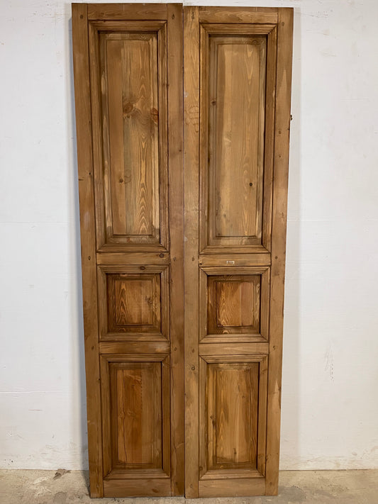 French Panel doors (80x33.50) K601D