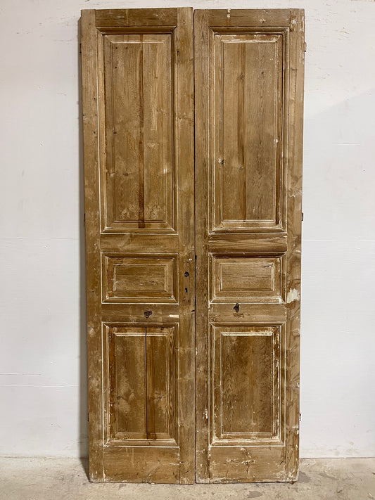 Antique French panel Doors (90.5x44.50) J629