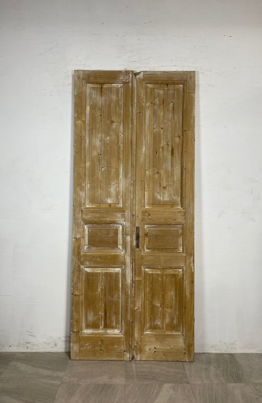 Antique French panel Doors  (93.75 x 39.5)   N085